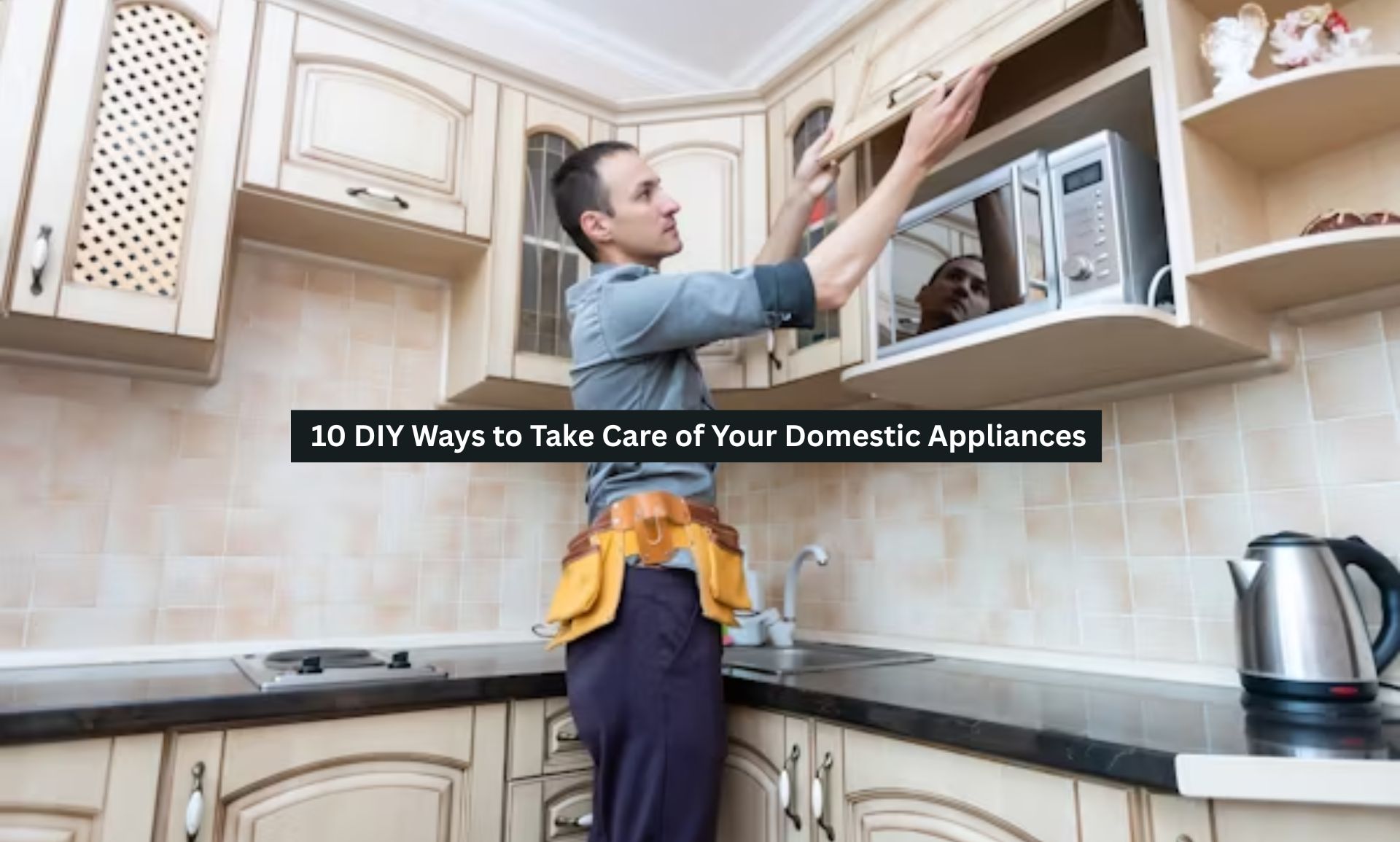 Domestic Appliances