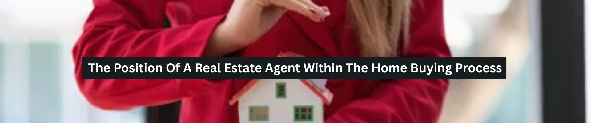 Real Estate Agent